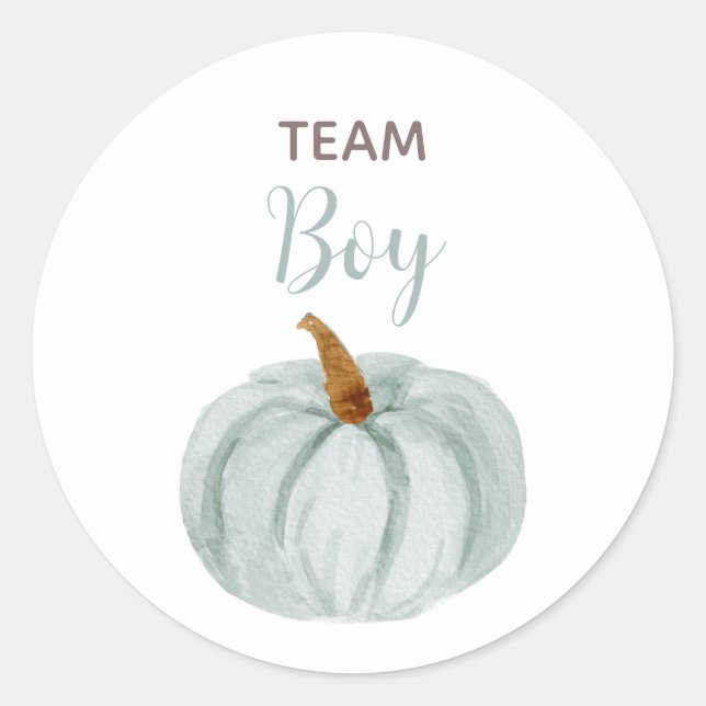TEAM BLUE Gender Reveal Baby Shower Game Labels Runder Aufkleber (Vorderseite)