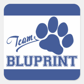 Team BluPrint Square Sticker