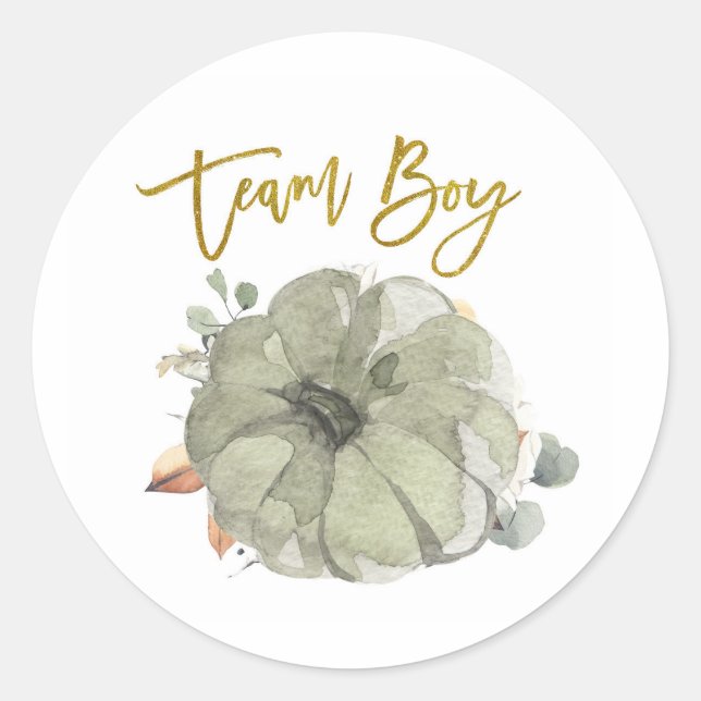 Team Boy Pumpkin Gender Reveal Spiel-Label Runder Aufkleber (Vorderseite)