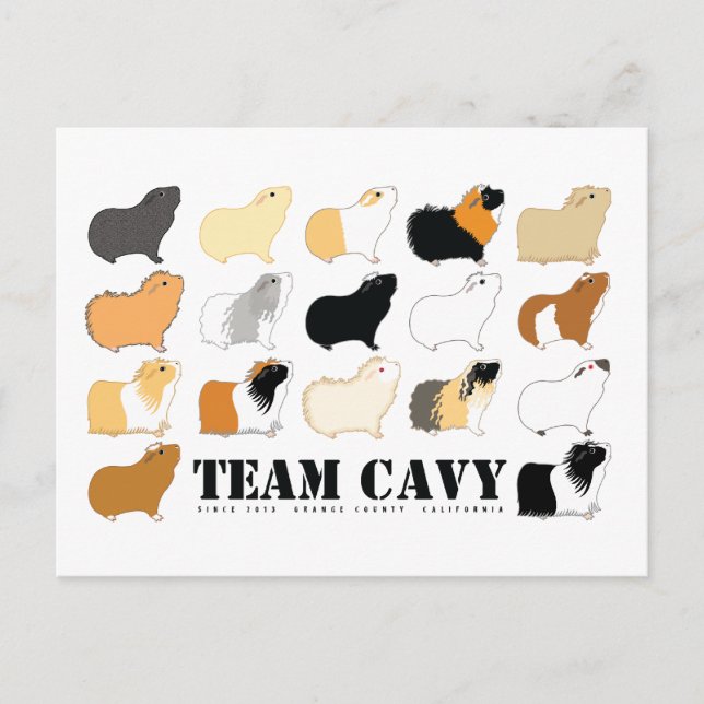 TEAM CAVY POSTKARTE (Vorderseite)