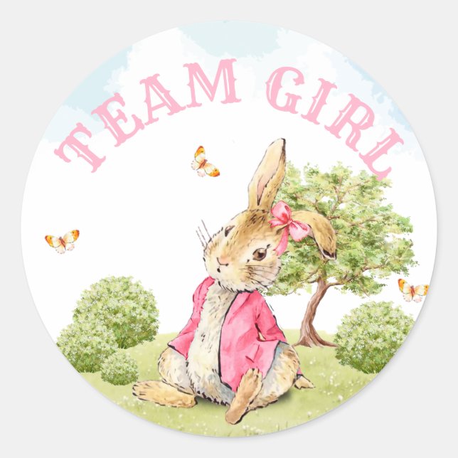 Team Girl Gender Reveal Abstimmung Peter Thrabbit Runder Aufkleber (Vorderseite)