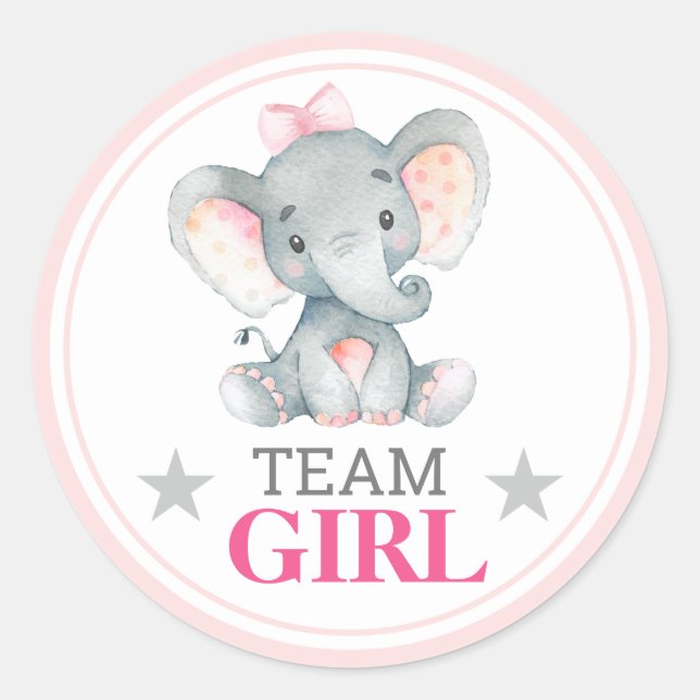 Team Girl Vote Gender Reveal Baby Shooter Sprinkle Runder Aufkleber (Vorderseite)