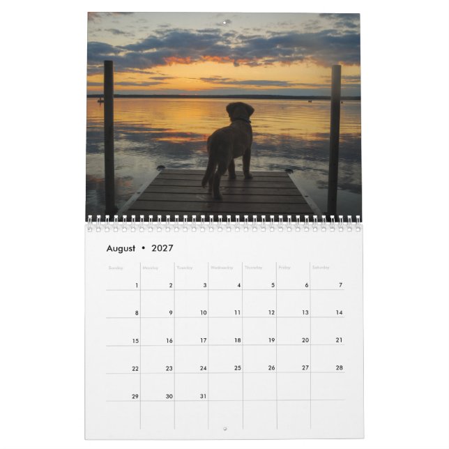 Team Joey Jax 2016 Kalender (Aug 2027)