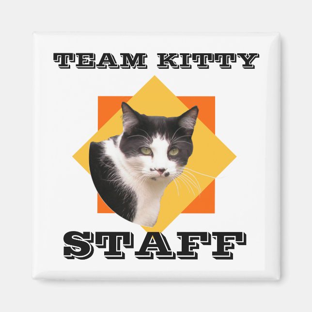 Team Kitty STAFF Magnet (Vorne)
