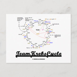 Team Krebs Cycle (Citric Acid Cycle - TCAC) Postkarte