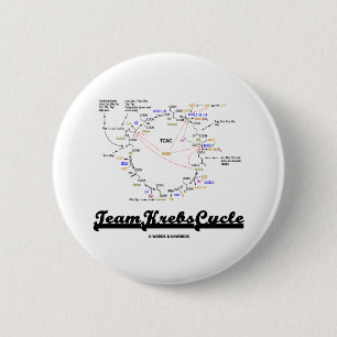 Team Krebs Zyklus (Zitronensäuren-Zyklus - TCAC) Button
