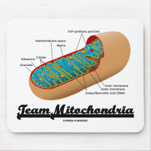 Team Mitochondria Mitochondrion Spaß Mousepad