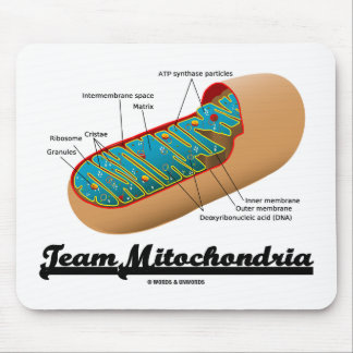 Team Mitochondria Mitochondrion Spaß Mousepad