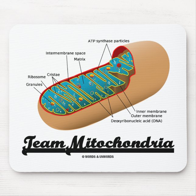 Team Mitochondria Mitochondrion Spaß Mousepad (Vorne)