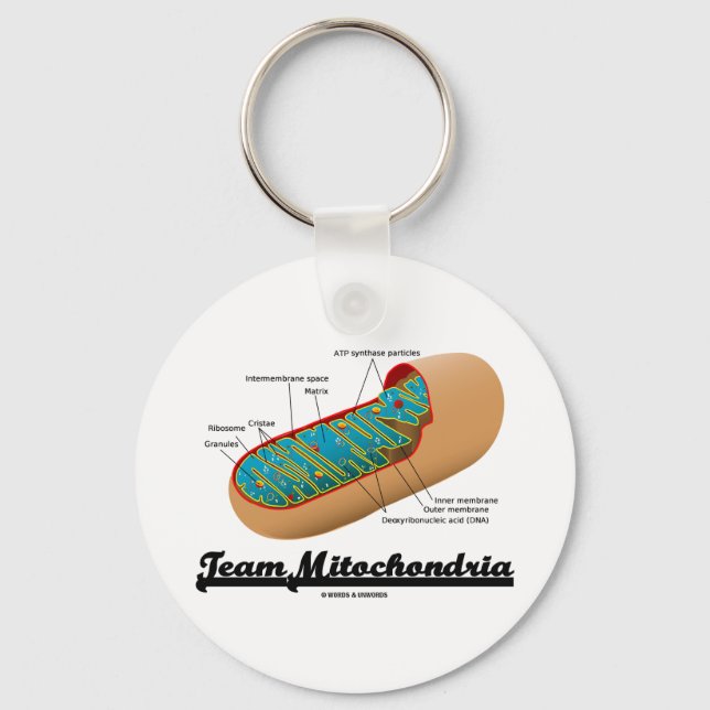 Team Mitochondria (Mitochondrion-Spaß) Schlüsselanhänger (Vorderseite)