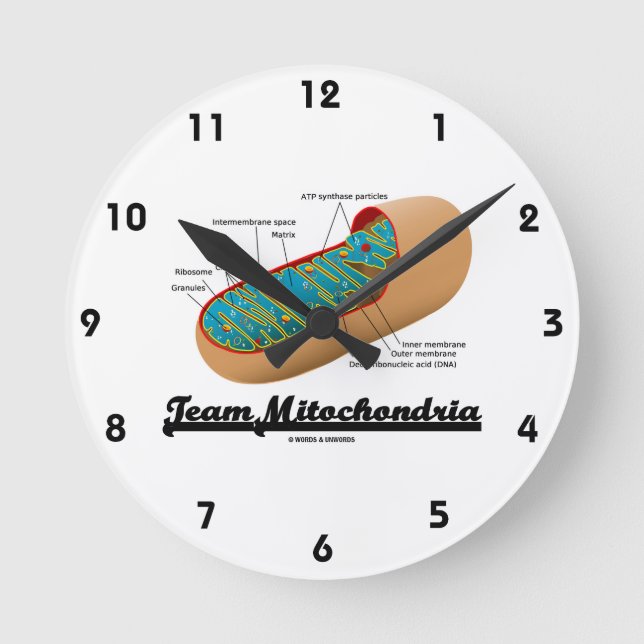 Team-Mitochondrien (Mitochondrion Spaß) Runde Wanduhr (Vorderseite)