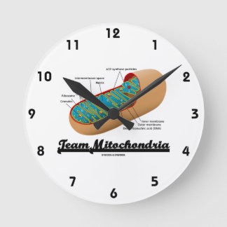 Team-Mitochondrien (Mitochondrion Spaß) Runde Wanduhr