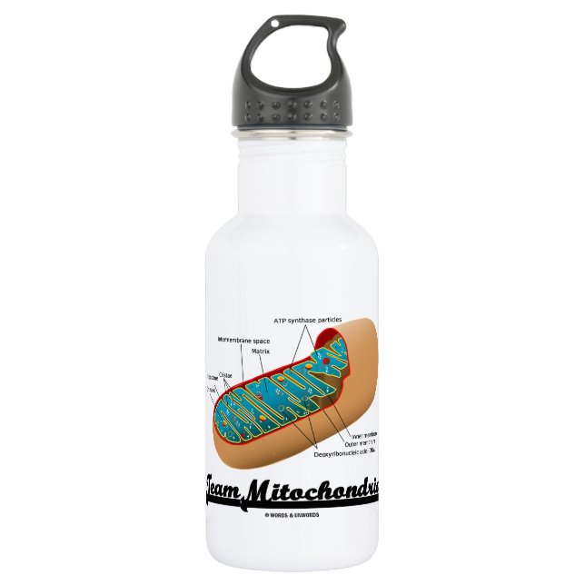Team-Mitochondrien (Mitochondrion Spaß) Trinkflasche (Vorderseite)