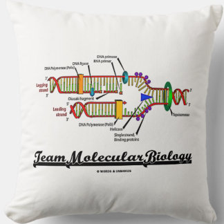 Team-Molekularbiologie (DNS-Reproduktion) Kissen