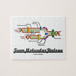 Team-Molekularbiologie (DNS-Reproduktion) Puzzle