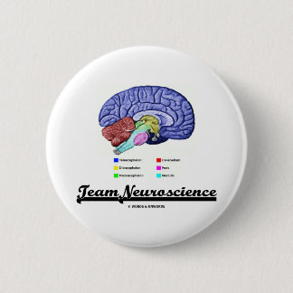 Team-Neurologie (Gehirn-Anatomie-Haltung) Button