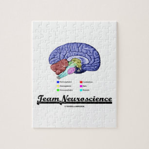 Team-Neurologie (Gehirn-Anatomie-Haltung) Puzzle