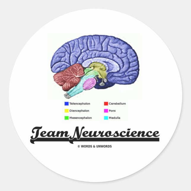 Team Neuroscience (Hirnanatomie Attitude) Runder Aufkleber (Vorderseite)