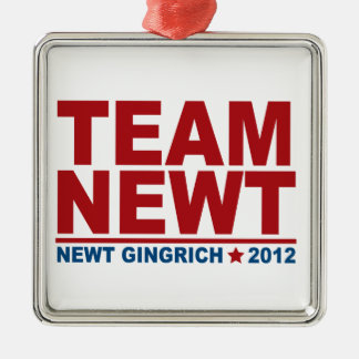 Team Newt Gingrich 2012 Silbernes Ornament