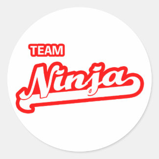 Team Ninja Runder Aufkleber