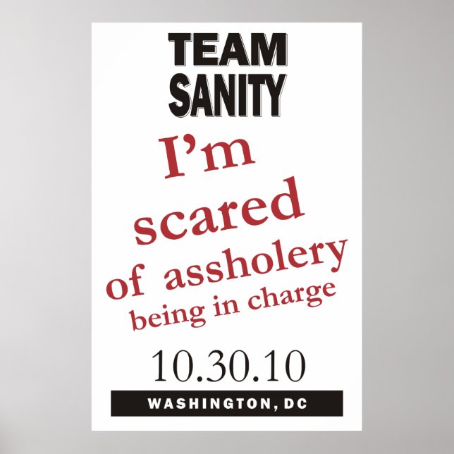 Team Sanity Poster (Vorne)