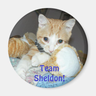 Team sheldon Magnet