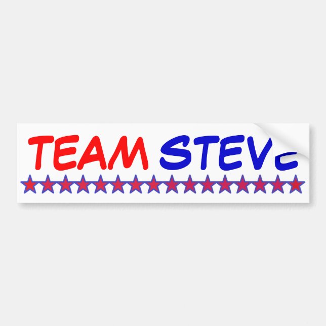 Team Steve Autoaufkleber (Vorne)