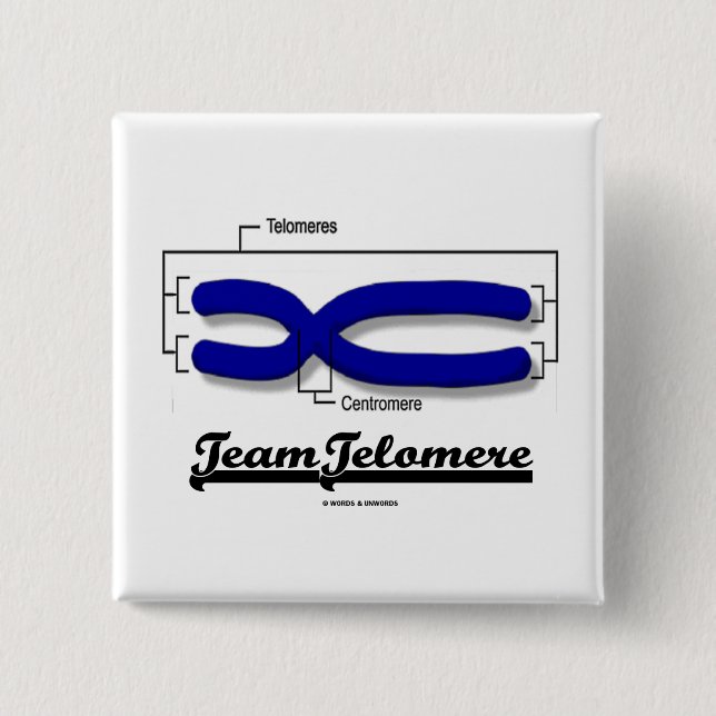 Team Telomere (Biologie-Spaß) Button (Vorderseite)
