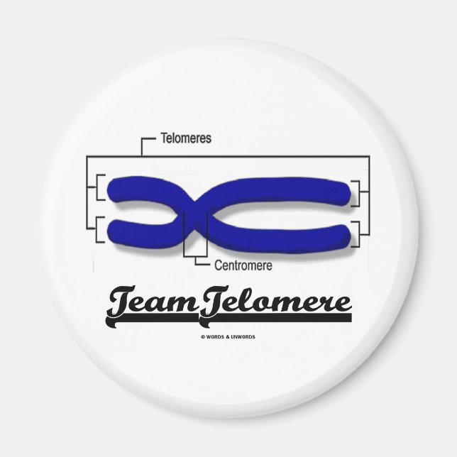 Team Telomere (Biologie-Spaß) Magnet (Vorne)