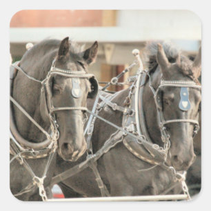 Teamarbeit Quadratischer Aufkleber