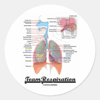 Teamatmung (Respiratorisches System) Runder Aufkleber