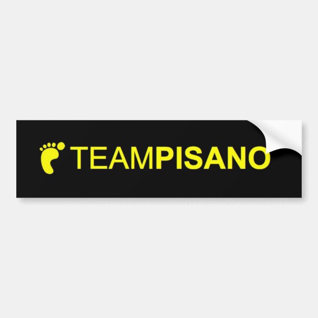 TeamPisano Autoaufkleber (Vorne)