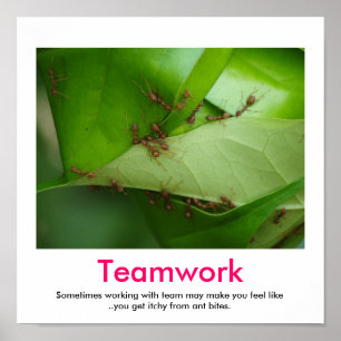 TEAMWORK-Demotivationspaket Poster