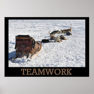 Teamwork Dog Sled Poster
