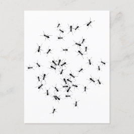 Teamwork macht Traumarbeit Postkarte