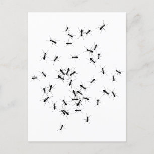 Teamwork macht Traumarbeit Postkarte