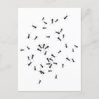 Teamwork macht Traumarbeit Postkarte