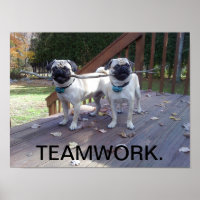 Teamwork Poster! Mops arbeiten zusammen!