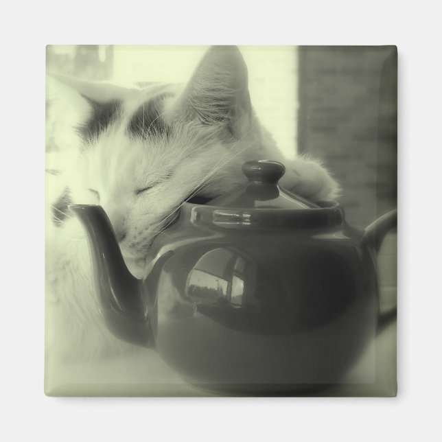 Teapot Pillow Magnet (Vorne)