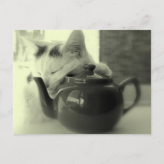 Teapot Pillow Postkarte (Vorderseite)