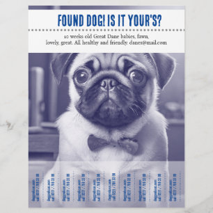 Tear-Off beim Verkauf von Flyern gefunden  Flyer