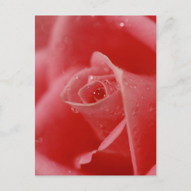 Teardrop Postkarte (Vorderseite)