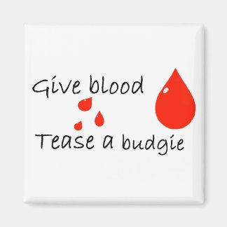 Tease a Budgie Magie Magnet