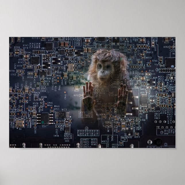 Technologie und Natur. Poster (Vorne)