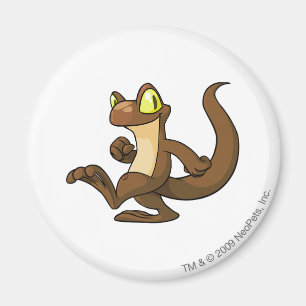 Techo Brown Magnet