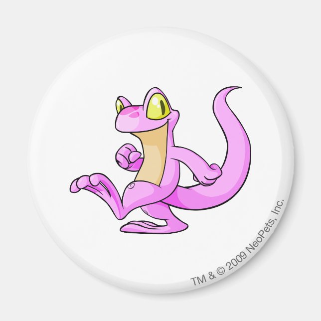 Techo Pink Magnet (Vorne)