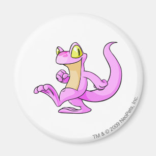 Techo Rosa Magnet