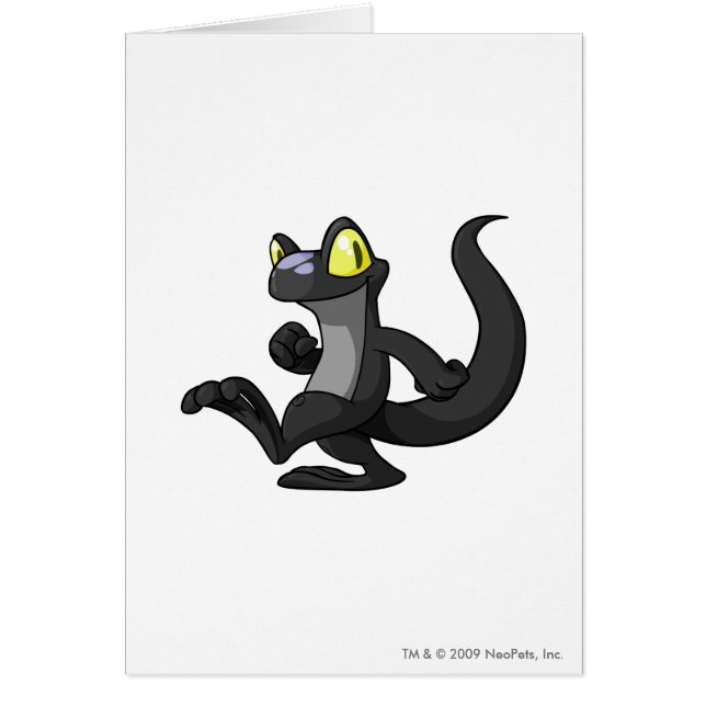 Techo Schatten (Vorne)