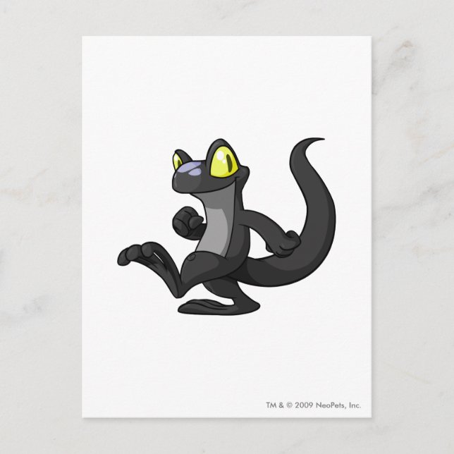 Techo Shadow Postkarte (Vorderseite)