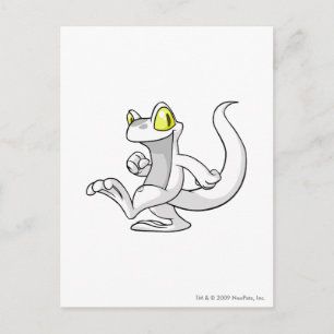 Techo Weiß Postkarte